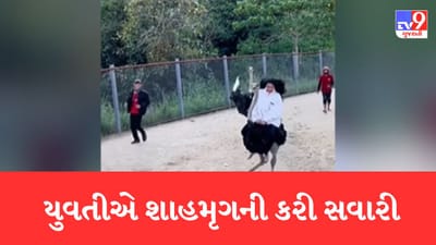 યુવતીએ શાહમૃગની કરી સવારી, પછી પક્ષી એવુ તો ભાગ્યુ કે છોકરી ગભરાઈ ગઈ જુઓ- Video