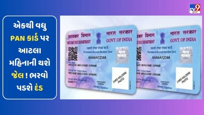 Video: એકથી વધુ PAN કાર્ડ પર આટલા મહિનાની થશે જેલ! ભરવો પડશે દંડ, જાણો શું છે નિયમ
