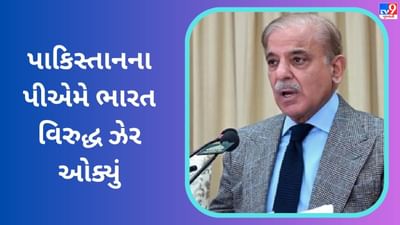 Pakistan News : પાક.પીએમનો બફાટ, ઈમરાનની તુલના RSS સાથે કરી