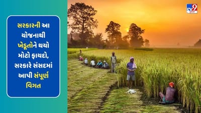 સરકારની આ યોજનાથી ખેડૂતોને થયો મોટો ફાયદો, સરકારે સંસદમાં આપી સંપૂર્ણ વિગત
