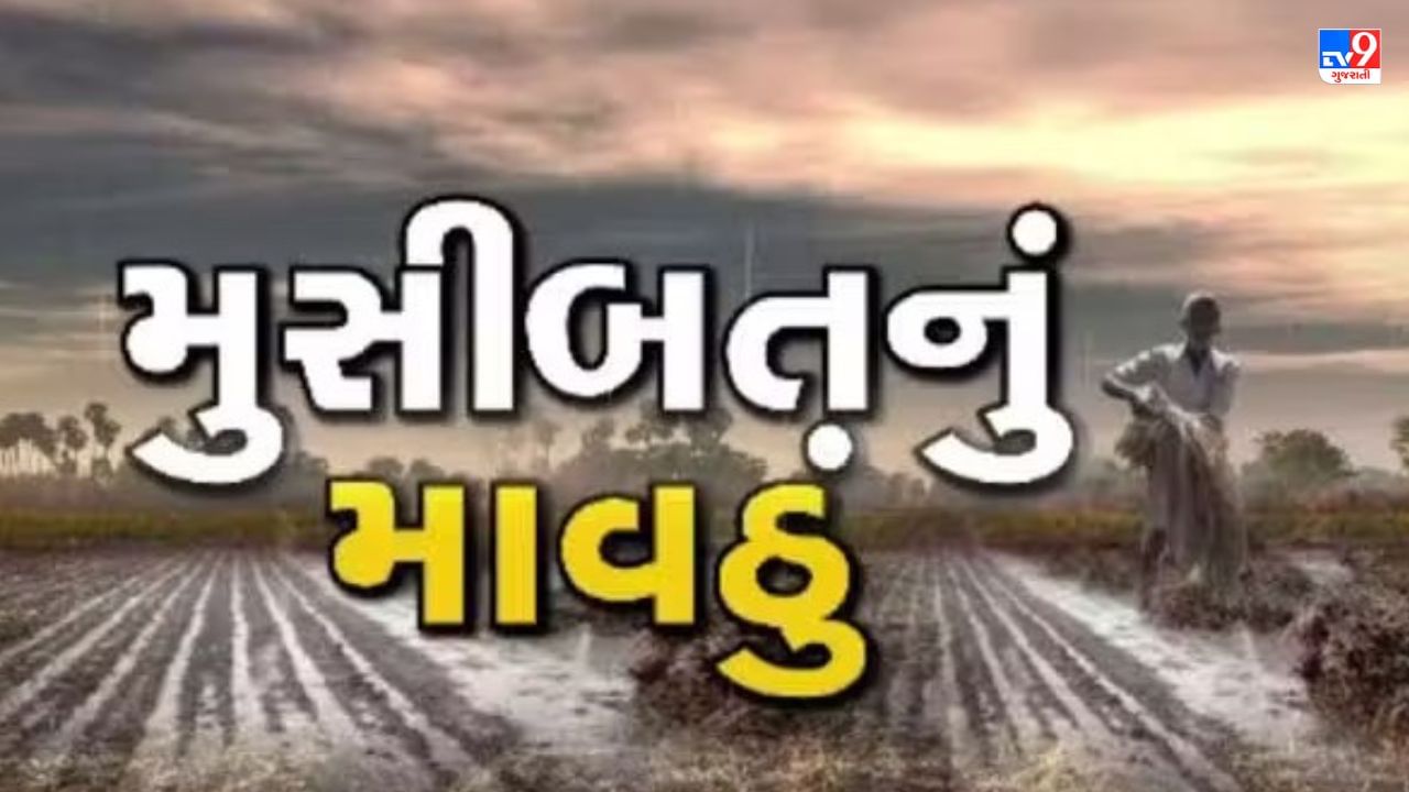 Gujarati VIDEO : ખેડૂતો માટે માઠા સમાચાર, આગામી ત્રણ દિવસ અનેક વિસ્તારોમાં વરસાદ પડવાની શક્યતા