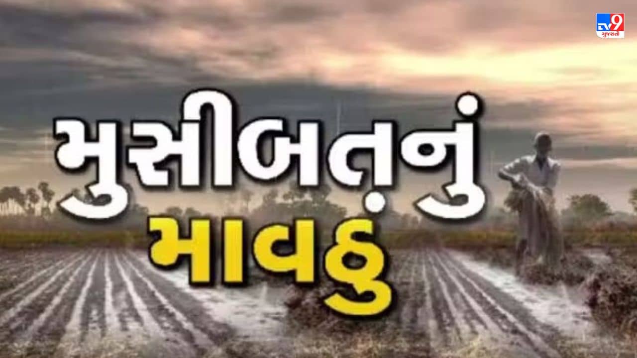 Patan માં કમોસમી વરસાદને કારણે જળબંબાકારની સ્થિતિ, ખેડૂતોએ રાતા પાણીએ રોવાનો વારો આવ્યો, જુઓ VIDEO