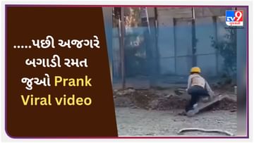 Prank Viral Video : આ વ્યક્તિ ચોરીછૂપીથી રસ્તા પર પડેલી નોટ ઉપાડી રહ્યો હતો, પછી અજગરે બગાડી રમત, મિશન નિષ્ફળ