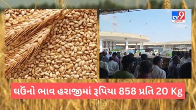 Wheat Price: ઘઉંનો વિક્રમજનક ભાવ! ઉત્તર ગુજરાતના આ માર્કેટયાર્ડમાં 858 રુપિયા સુધી બોલાયો ભાવ