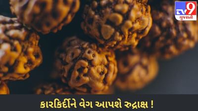 તમારા વ્યવસાય મુજબ ધારણ કરો રુદ્રાક્ષ, કારકિર્દીમાં મળશે પ્રગતિના આશીર્વાદ !
