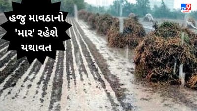 'કમોસમી'ની આફત યથાવત : વેસ્ટર્ન ડિસ્ટર્બન્સને કારણે રાજ્યમાં હજુ ભારે પવન સાથે વરસી શકે છે વરસાદ, જુઓ VIDEO