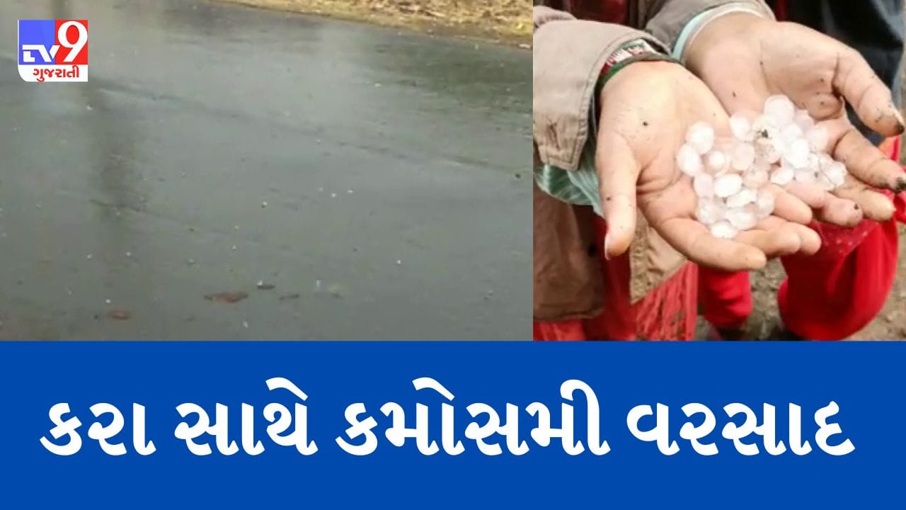 Gujarati Video પાટણ અને કચ્છમાં પડ્યા વરસાદી ઝાપટાં, બનાસકાંઠાના