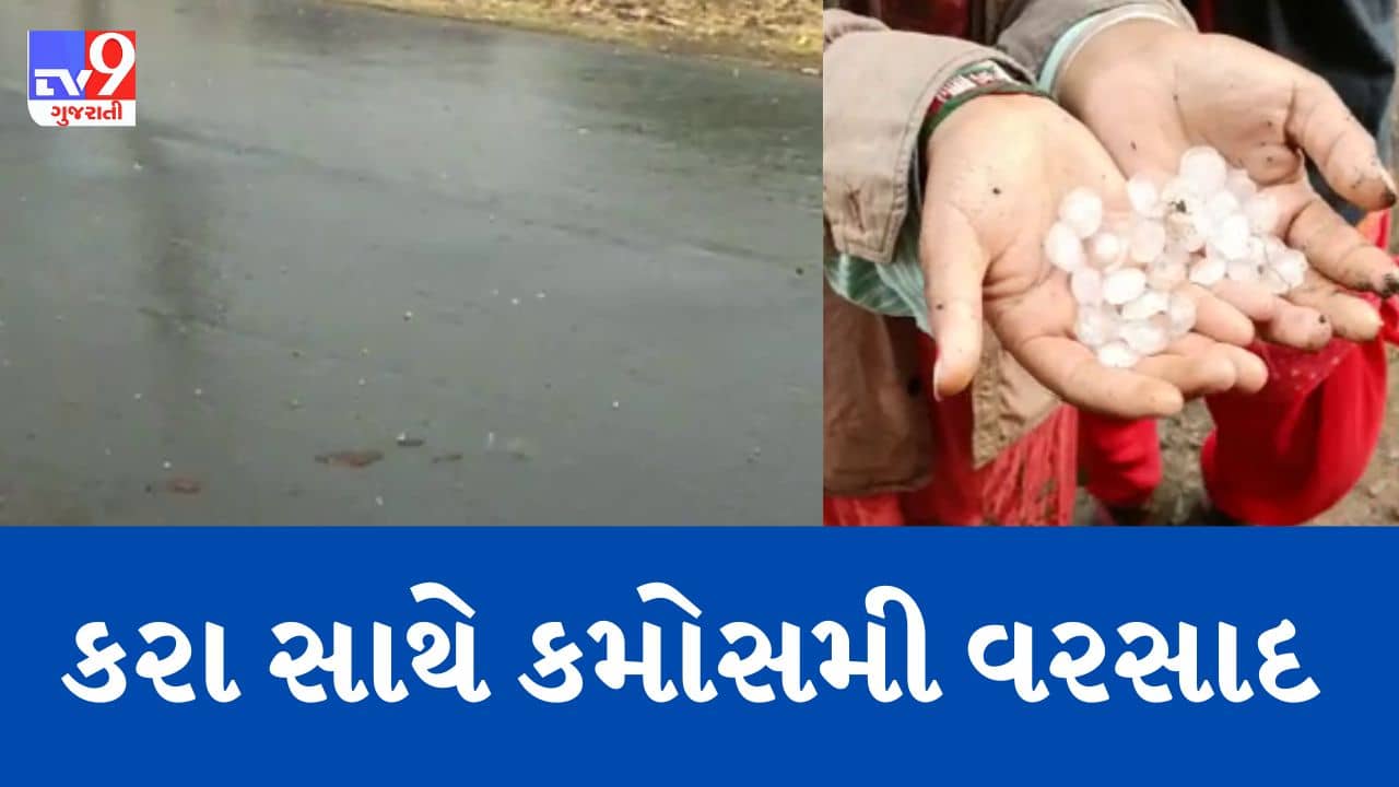 Gujarati Video : પાટણ અને કચ્છમાં પડ્યા વરસાદી ઝાપટાં, બનાસકાંઠાના લાખણીમાં કરા સાથે વરસાદ