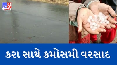 Gujarati Video : પાટણ અને કચ્છમાં પડ્યા વરસાદી ઝાપટાં, બનાસકાંઠાના લાખણીમાં કરા સાથે વરસાદ Gujarati Video : પાટણ અને કચ્છમાં પડ્યા વરસાદી ઝાપટાં, બનાસકાંઠાના લાખણીમાં કરા સાથે વરસાદ