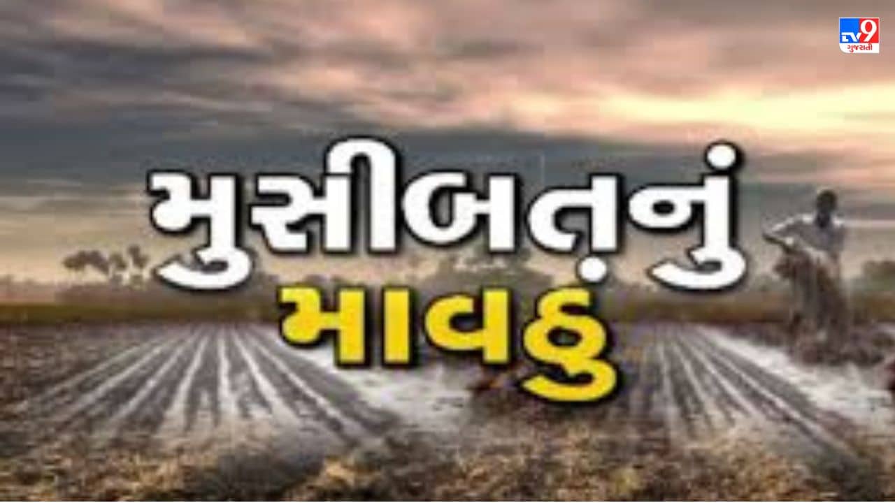 Gujarati VIDEO : તાપીમાં ભરઉનાળે અષાઢી માહોલ જામ્યો, માવઠાને પગલે ખેડૂતોની વધી ચિંતા, વાંચો Latest Weather Update