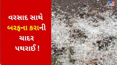 બંદુકની ગોળી છે કે બરફના કરા ? મહારાષ્ટ્રમાં કમોસમી વરસાદનો VIDEO થયો વાયરલ