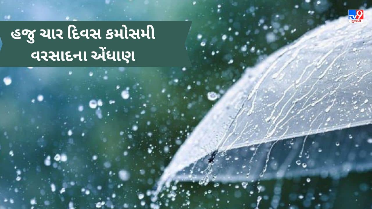 Gujarati Video : ખેડૂતો પર હજુ માવઠાનુ સંકટ રહેશે યથાવત, આગામી ચાર દિવસ ભારે પવન સાથે કમોસમી વરસાદની શક્યતા