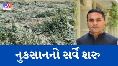 કમોસમી વરસાદથી રાજકોટના તાલુકાઓમાં સૌથી વધારે નુકસાન, સરકાર દ્વારા નુકસાનનો સર્વે શરૂ