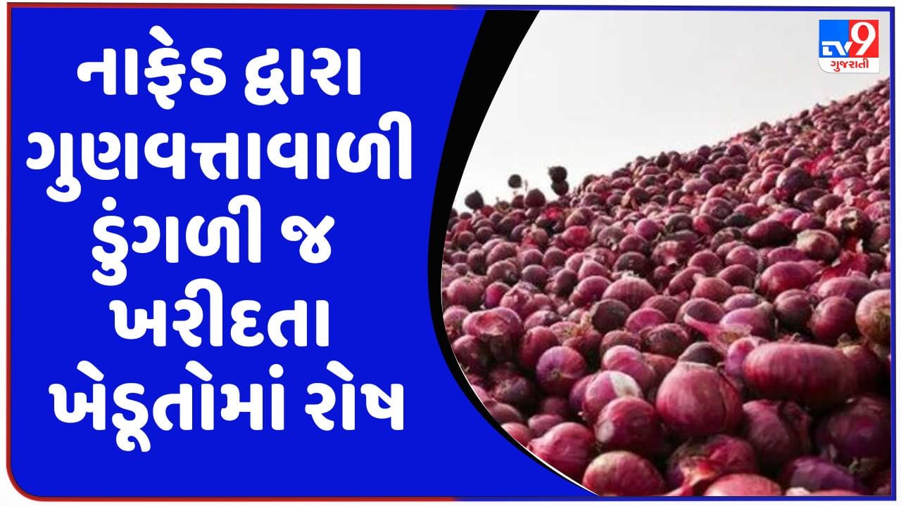 Gujarati Video: રાજકોટમાં નાફેડ દ્વારા ગુણવત્તાવાળી ડુંગળી જ ખરીદતા ખેડૂતોમાં રોષ Gujarati Video: રાજકોટમાં નાફેડ દ્વારા ગુણવત્તાવાળી ડુંગળી જ ખરીદતા ખેડૂતોમાં રોષ