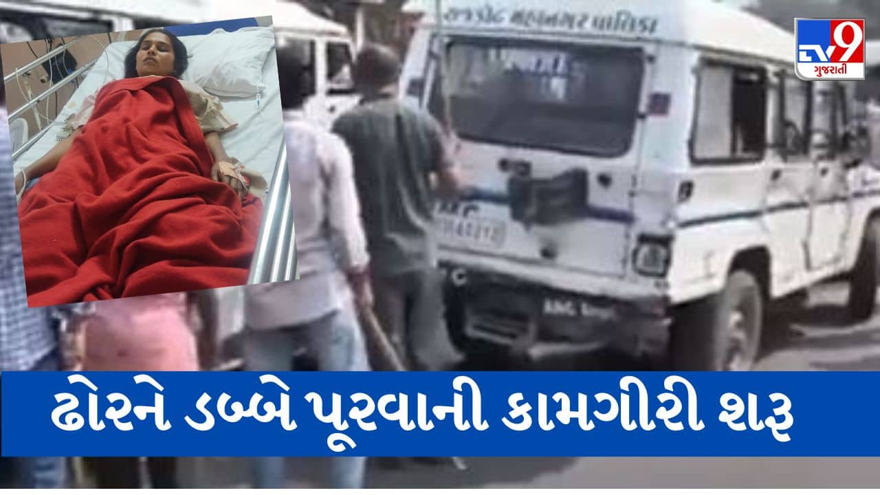 Gujarati video : ગોંડલમાં રખડતા ઢોરની અડફેટે મહિલા કોમામાં, RMCએ શહેરમાં ઢોર પકડવાની કામગીરી આદરી, જુઓ Video