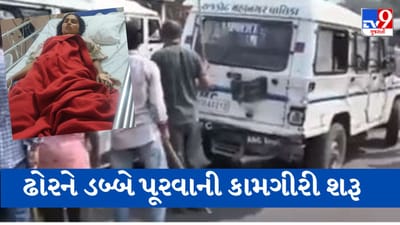 Gujarati video : ગોંડલમાં રખડતા ઢોરની અડફેટે મહિલા કોમામાં, RMCએ શહેરમાં ઢોર પકડવાની કામગીરી આદરી, જુઓ Video Gujarati video : ગોંડલમાં રખડતા ઢોરની અડફેટે મહિલા કોમામાં, RMCએ શહેરમાં ઢોર પકડવાની કામગીરી આદરી, જુઓ Video