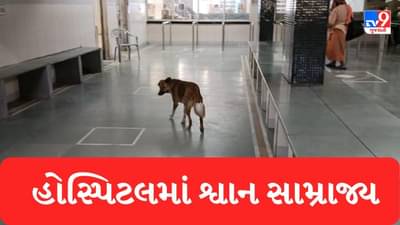 Rajkot : સિવિલ હોસ્પિટલમાં તંત્રની બેદરકારી સામે આવી, ઓપીડીમાં ડોકટરની જગ્યાએ જોવા મળ્યા શ્વાન