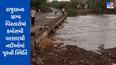 Gujarati Video : અમરેલીના રાજુલાના ગ્રામ્ય વિસ્તારોમાં કમોસમી વરસાદને કારણે સ્થાનિક નદીઓમાં પૂર જેવી સ્થિતિ