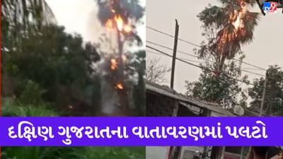 Gujarati video: સુરતના કોસાડ ગામના ટાંકી ફળીયામાં વૃક્ષ પર વીજળી પડી, ભારે પવનથી કેરીના મોર ખરી પડ્યાં, જુઓ Video