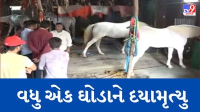 Surat: લાલ દરવાજા વિસ્તારમાં ગ્લેન્ડર રોગના પગલે વધુ એક ઘોડાને અપાયું દયામૃત્યુ