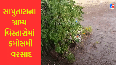 Gujarati Video : સાપુતારાના ગ્રામ્ય વિસ્તારોમાં કમોસમી વરસાદ, કરા પડતા લોકોમાં કૂતુહલ જોવા મળ્યું