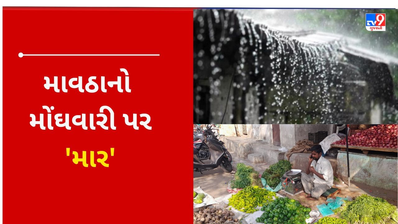 Gujarat : કમોસમી વરસાદને કારણે શાકભાજીના ભાવમાં ઉછાળો, ગૃહિણીઓના બજેટ ખોરવાયા