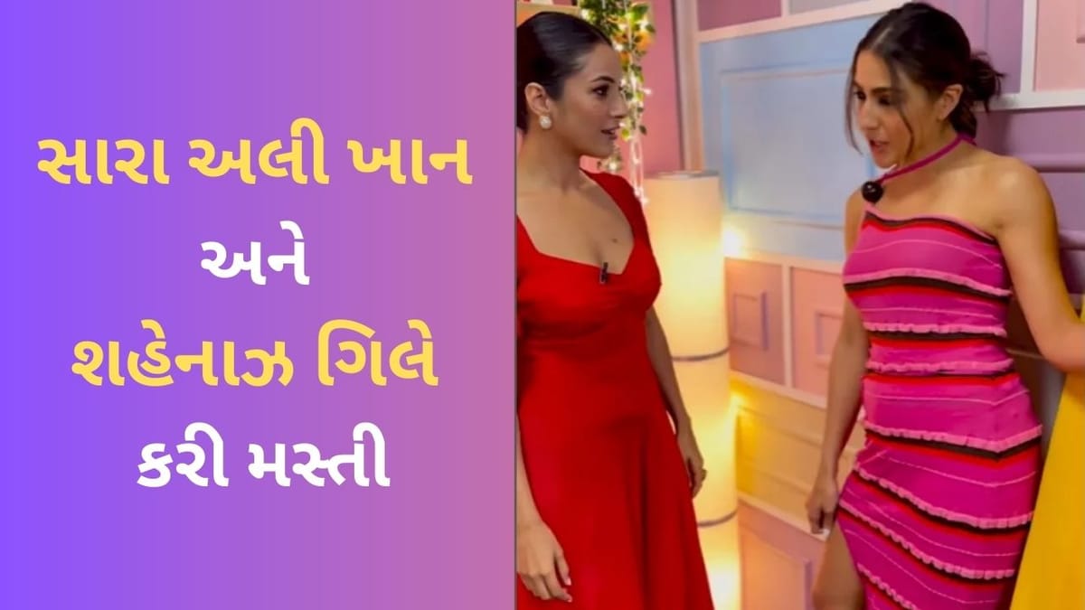 'કુંડી મત ખડકાઓ રાજા' ગીત પર સારા અલી ખાન-શહેનાઝ ગિલે કર્યો રોમાંસ?, જુઓ Viral Video