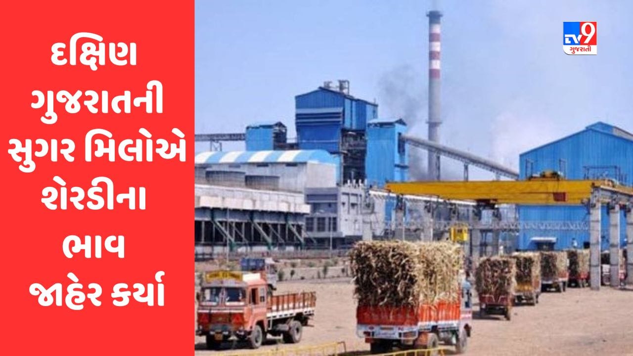 Gujarati Video : દક્ષિણ ગુજરાતની સુગર મિલોએ શેરડીના ટન દીઠ ભાવ જાહેર કર્યા, વધુ ભાવ મળતા ખેડૂતોમાં ખુશીનો માહોલ Gujarati Video : દક્ષિણ ગુજરાતની સુગર મિલોએ શેરડીના ટન દીઠ ભાવ જાહેર કર્યા, વધુ ભાવ મળતા ખેડૂતોમાં ખુશીનો માહોલ