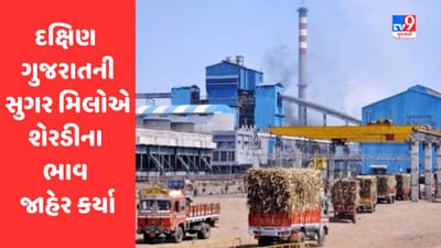 Gujarati Video : દક્ષિણ ગુજરાતની સુગર મિલોએ શેરડીના ટન દીઠ ભાવ જાહેર કર્યા, વધુ ભાવ મળતા ખેડૂતોમાં ખુશીનો માહોલ Gujarati Video : દક્ષિણ ગુજરાતની સુગર મિલોએ શેરડીના ટન દીઠ ભાવ જાહેર કર્યા, વધુ ભાવ મળતા ખેડૂતોમાં ખુશીનો માહોલ