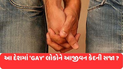 આ દેશમાં 'ગે' હોવું મહાપાપ, સમલૈંગિકોને જેલમાં મોકલવાનું બિલ થયું પાસ, જાણો તે દેશ વિશે