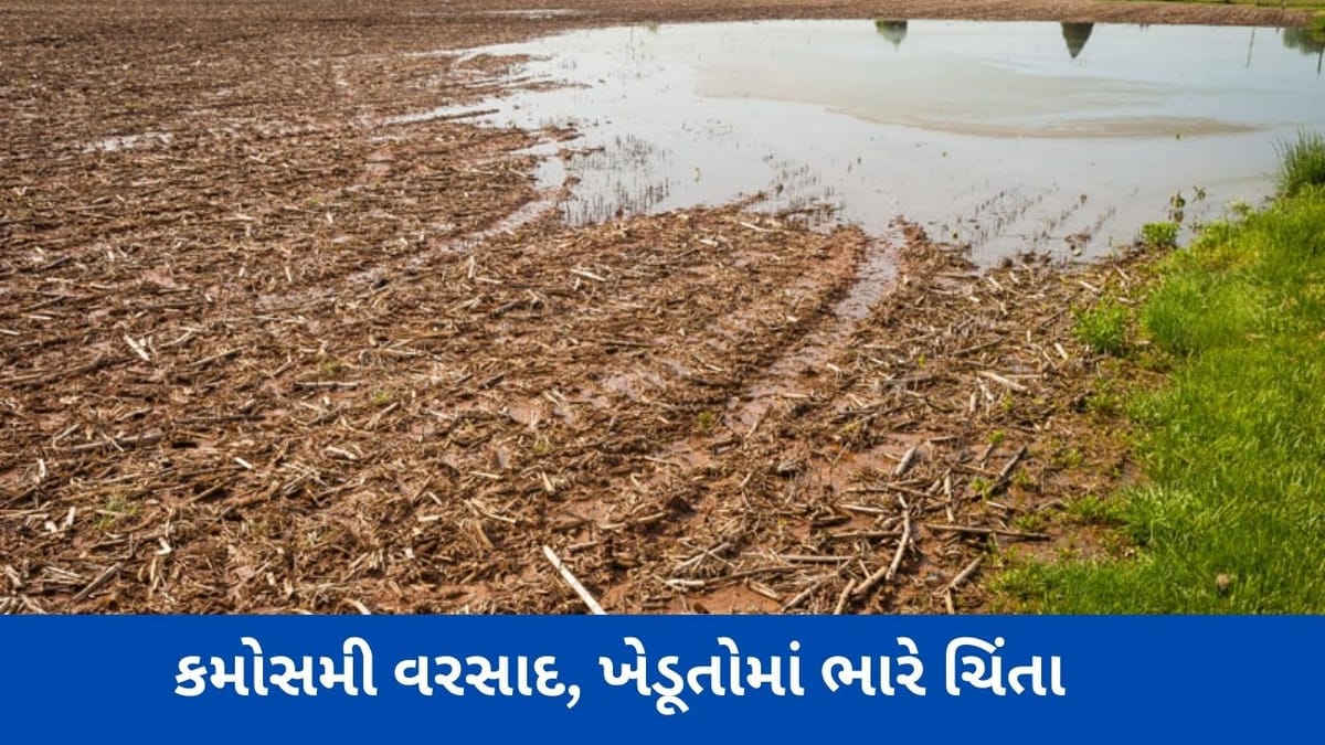 Unseasonal Rain: પંચમહાલના કાલોલમાં અચાનક વાતાવરણમાં પલટા બાદ વરસ્યો કમોસમી વરસાદ, ખેડૂતોમાં ભારે ચિંતા