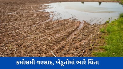 Unseasonal Rain: પંચમહાલના કાલોલમાં અચાનક વાતાવરણમાં પલટા બાદ વરસ્યો કમોસમી વરસાદ, ખેડૂતોમાં ભારે ચિંતા