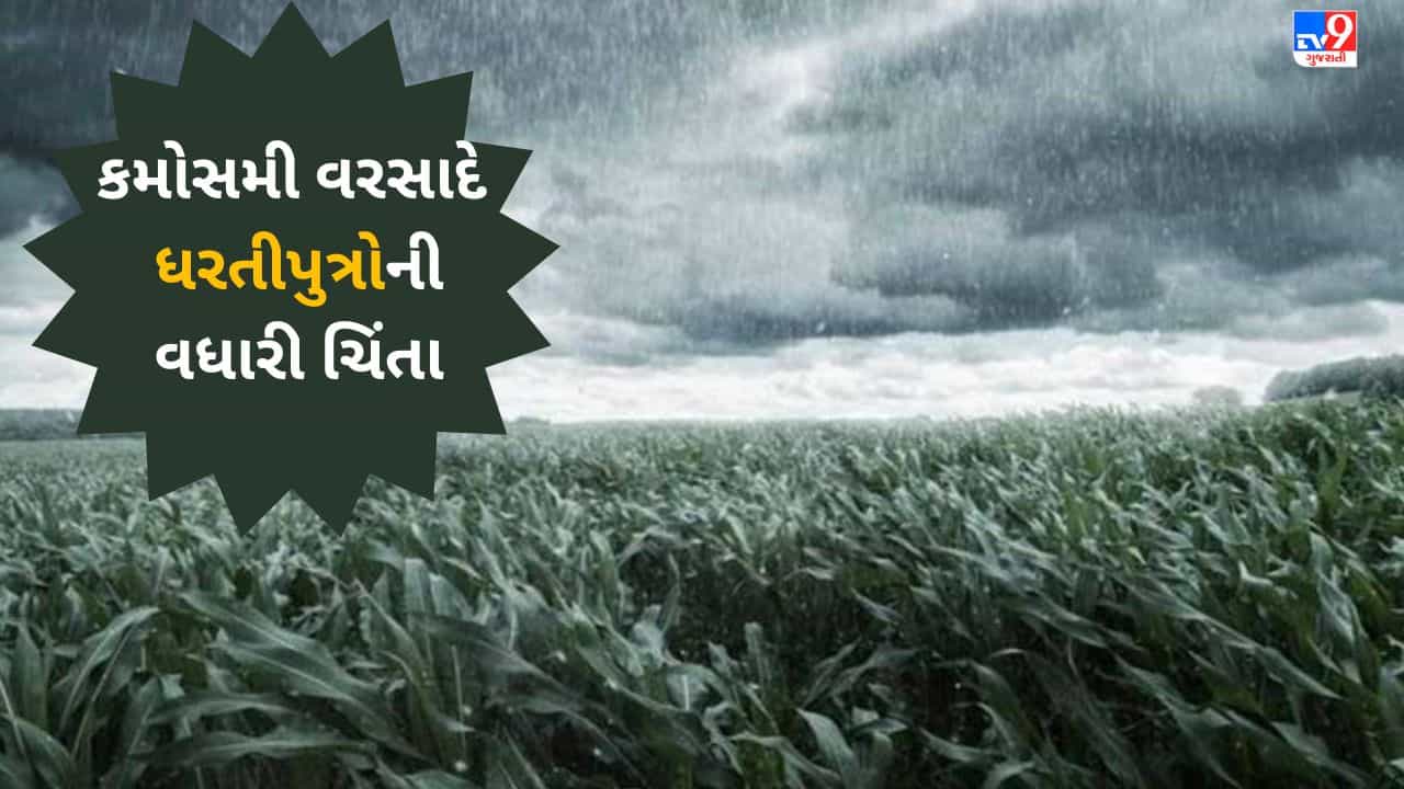 Gujarati VIDEO : સાબરકાંઠા જિલ્લામાં ભારે પવન સાથે કમોસમી વરસાદ, અમુક વિસ્તારમાં વીજ પુરવઠો ખોરવાયો