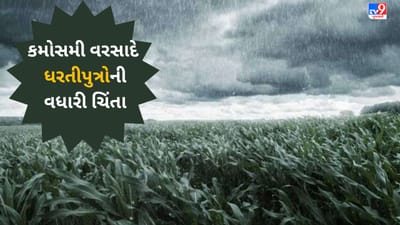 Gujarati VIDEO : સાબરકાંઠા જિલ્લામાં ભારે પવન સાથે કમોસમી વરસાદ, અમુક વિસ્તારમાં વીજ પુરવઠો ખોરવાયો