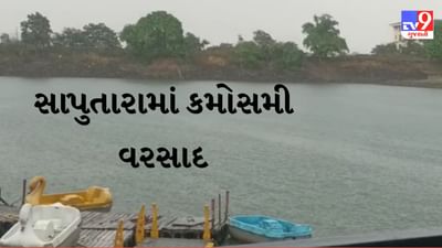 Gujarati Video: વાદળછાયા વાતાવરણ વચ્ચે સાપુતારામાં હળવો વરસાદ Gujarati Video: વાદળછાયા વાતાવરણ વચ્ચે સાપુતારામાં હળવો વરસાદ