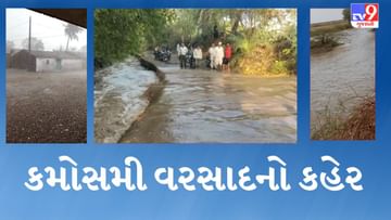વાતાવરણમાં પલટો: ગુજરાતના અનેક જિલ્લામાં ભર ઉનાળે નદીઓ વહીં, કડાકા ભડાકા સાથે કરાનો વરસાદ, જુઓ Video