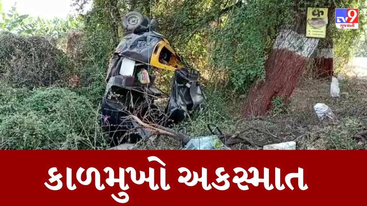 Gujarati Video : વડોદરાના શિનોર સાધલી માર્ગ પર નિલગાય રિક્ષા સાથે ટકરાઇ, અકસ્માતમાં એકનું મોત