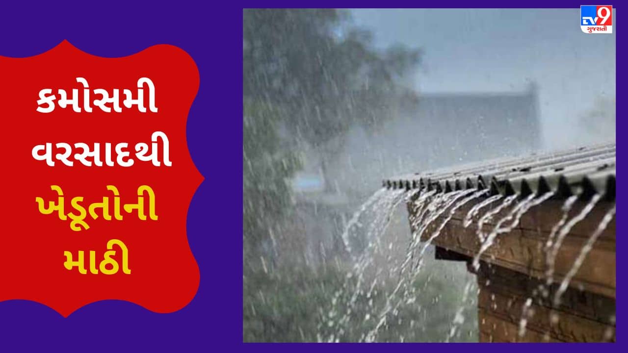 Gujarati VIDEO : હવે કુદરત રહેમ કર ! બનાસકાંઠાના લાખણી તાલુકામાં સતત ત્રીજા દિવસે ભારે પવન સાથે કમોસમી વરસાદ