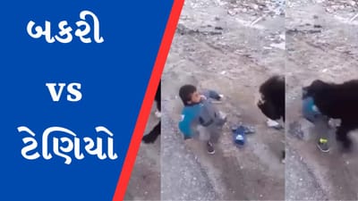 Viral Video: બકરી સાથે મસ્તી કરવું પડયું ભારે, ટેણિયાના હાલ થયા બેહાલ