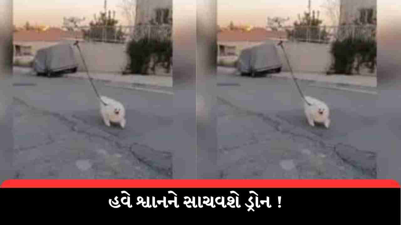 Viral Video : શ્વાનને ફરવા લઈ ગયું ડ્રોન, યુઝર્સે કહ્યું - ટેકનોલોજીનો ગજબ ઉપયોગ કર્યો