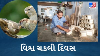 World Sparrow day: ચકલીના જતન માટે ધ્રાંગધ્રાના શંભુભાઈનું લાકડાના પક્ષીઘર બનાવવાનું ઉમદા અભિયાન