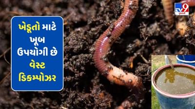 ખેડૂતો માટે ખૂબ ઉપયોગી છે વેસ્ટ ડિકમ્પોઝર, ઉપજ સાથે આવક પણ વધશે