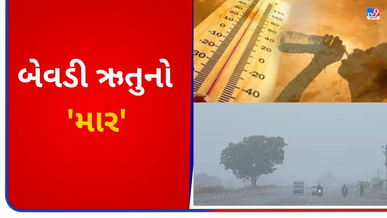 Gujarati Video : ગરમીનો પારો ઉંચો જવાની સાથે ગુજરાતમાં 11 અને 12 એપ્રિલે માવઠાની આગાહી, જુઓ વીડિયો
