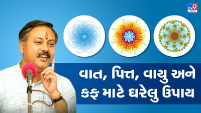 Rajiv Dixit Health Tips: પિત્ત, વાયુ અને કફ માટે અર્જુનની છાલ રામબાણ ઈલાજ સમાન, રાજીવ દીક્ષિતે જણાવ્યા ઘરેલુ ઉપાય
