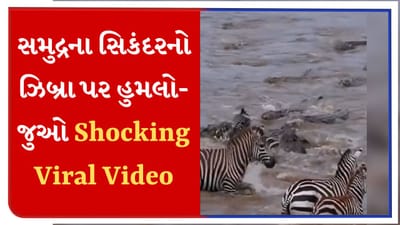Shocking Viral Video : ડઝન જેટલાં મગરે કર્યો ઝિબ્રા પર જીવલેણ હુમલો, થોડીક જ સેકન્ડમાં બનાવ્યો શિકાર