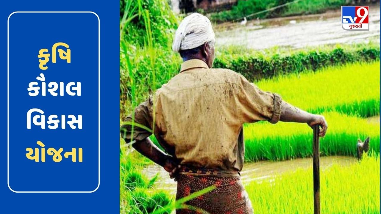 કૃષિ કૌશલ્ય વિકાસ માટે સરકાર દ્વારા ચલાવવામાં આવી રહ્યા છે આ કાર્યક્રમો