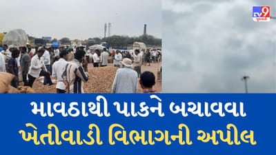 Rajkot : કમોસમી વરસાદથી પાકને બચાવવો છે ? તો ખેતીવાડી વિભાગે આપેલી આ સલાહને અનુસરો