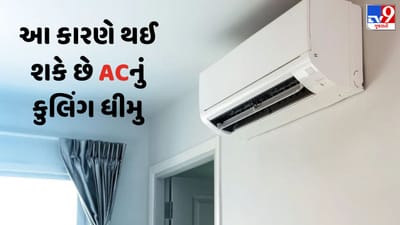 Technology Video: આ કારણે થઈ શકે છે ACને નુકસાન, કુલિંગ વધારવા અપનાવો આ ટિપ્સ