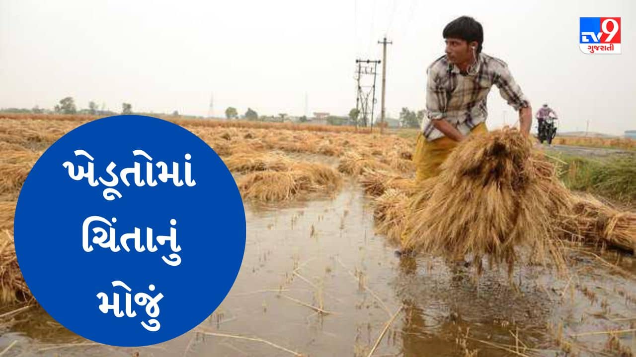 Weather News Gujarat : અમરેલીના સાવરકુંડલાના પંથકમાં ભારે વરસાદ ખાબક્યો, ખેડૂતો ચિંતામા, જુઓ Video