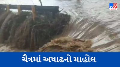 Gujarati Video : રાજુલાના ગ્રામ્ય વિસ્તારમાં જળ બંબાકારની સ્થિતિ, જગતનો તાત ચિંતત